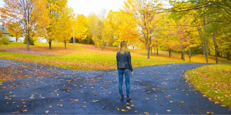 Uncovering Hidden Gems: The Road Less Traveled