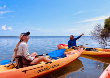The Rise of Eco-Friendly Adventure Travel