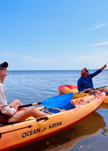The Rise of Eco-Friendly Adventure Travel